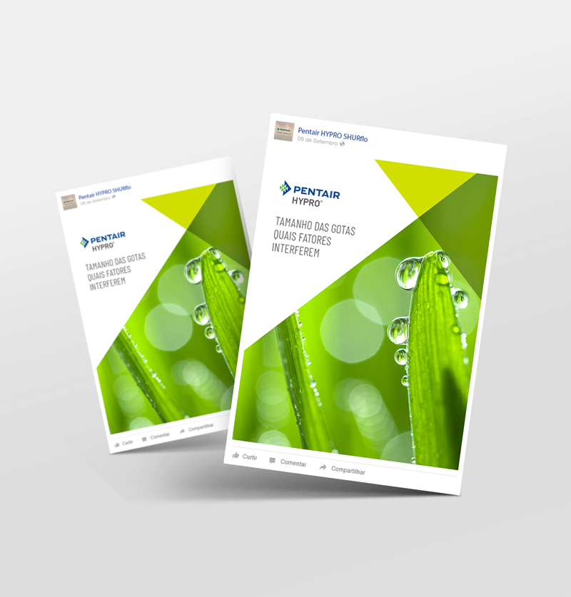 Pentair Hypro Shurflo